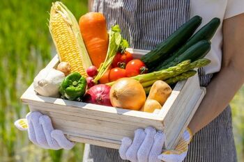 日本のフードロスは年間約520万トン！環境と生産者のために、今できることは？