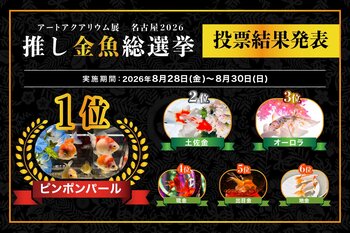 「推し金魚総選挙2026」結果発表 名古屋人気No.1金魚は“ピンポンパール”に決定！