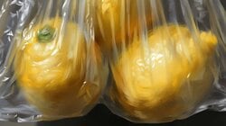 「なんでそうなる？」ポリ袋に入ったレモンの“秘密”に驚きの声続出！見ているだけで口の中が酸っぱく感じる画像に隠された“バズりの理由”とは...？
