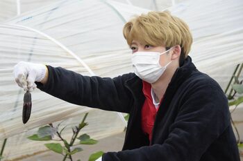 超特急・ユーキ「お前、いたぞ！！」リョウガにそっくり？なナスを発見する