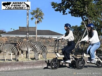 和歌山発glafit×アドベンチャーワールドがコラボレーション　電動バイクで駆ける新ツアー「サファリ Eバイククルーズ」