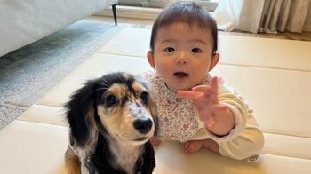 お風呂上がりのママ争奪戦！？ワンコvs.生後9ヵ月の赤ちゃん！ママが好き同士の表情に注目【激かわキッズ＆アニマル奇跡の瞬間】