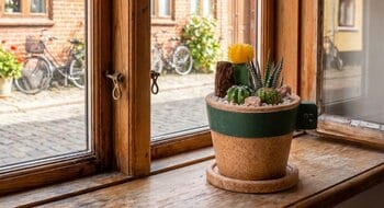 「これで北欧っぽくなる。」“マグカップなのにサボテン”が生む、暮らしの中のオシャレな違和感