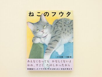 【新刊情報】保護ねこだったフウタ。クールなフウタが心の内に秘める本当の気持ちを描く絵本『ねこのフウタ』（木内南緒・作／西藤燦・絵）9/17発売。