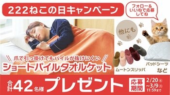 【2月22日は猫の日】42名に昭和西川の寝具をプレゼント！昭和西川公式Instagram ねこの日キャンペーンを実施！