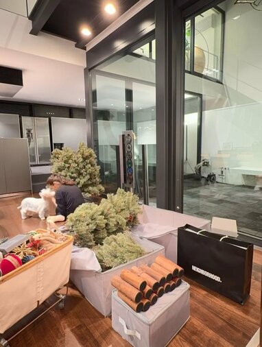 リゾートホテルみたい」滝沢眞規子 豪華自宅に“まるで絵本の世界”な