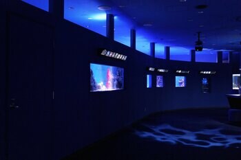 閉館からの再始動。“シン・マリホ水族館”が広島に新風を吹き込む。
