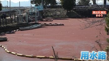 「地獄みたい」一面真っ赤に染まる用水路…市が除去作業も歯止めかからず