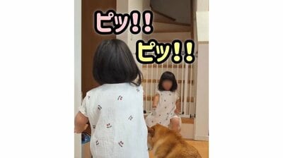 これは魔法!? 2歳双子姉妹が“電気を操る”姿にほっこり! かけ声でついたり消えたり･･･大はしゃぎする様子に「天使の戯れ」「疲れが吹き飛んだ」【激かわキッズ奇跡の瞬間】