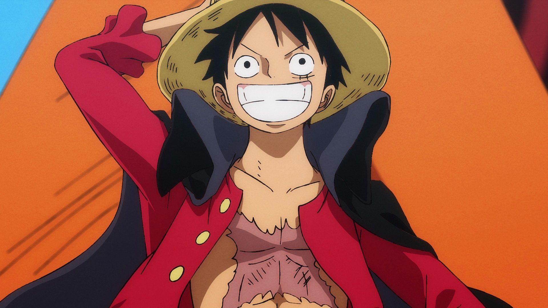 ワンピース 岡本信彦】ワンピース ONE PIECE 映画 劇場版 DVD 11巻
