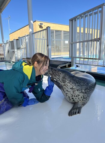 【NHKカルチャー】オホーツクとっかりセンター・アザラシランド飼育スタッフによるオンライン講座「アザラシ飼育員が語るアザラシの個性」【2026年3月14日（土）13時～】