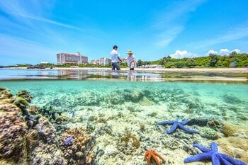 【ホテル日航アリビラ】夏限定イベント期間「el sol（エル ソル）」を2026年7月より開催