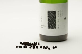 植物の葉を食べた昆虫の糞から生まれる神秘のお茶「虫秘茶」とコラボレーション。桜の香りが広がる Sake「SECRET SPRING」、haccobaより3月7日発売。