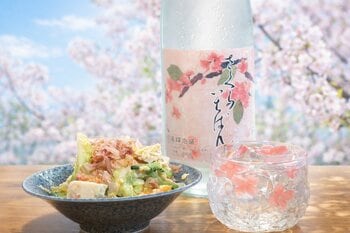 日本一早い桜の里・沖縄本部町生まれのマイルド泡盛「さくらいちばん」と旬の春キャベツのゴーヤーちゃんぷる～特別ペアリング発売