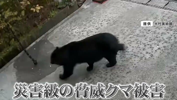 【過去最悪】「クマの動物園に入った気分」クマ人的被害相次ぐ秋田を取材　日常も一変「クマいたらどうすると家族で相談」