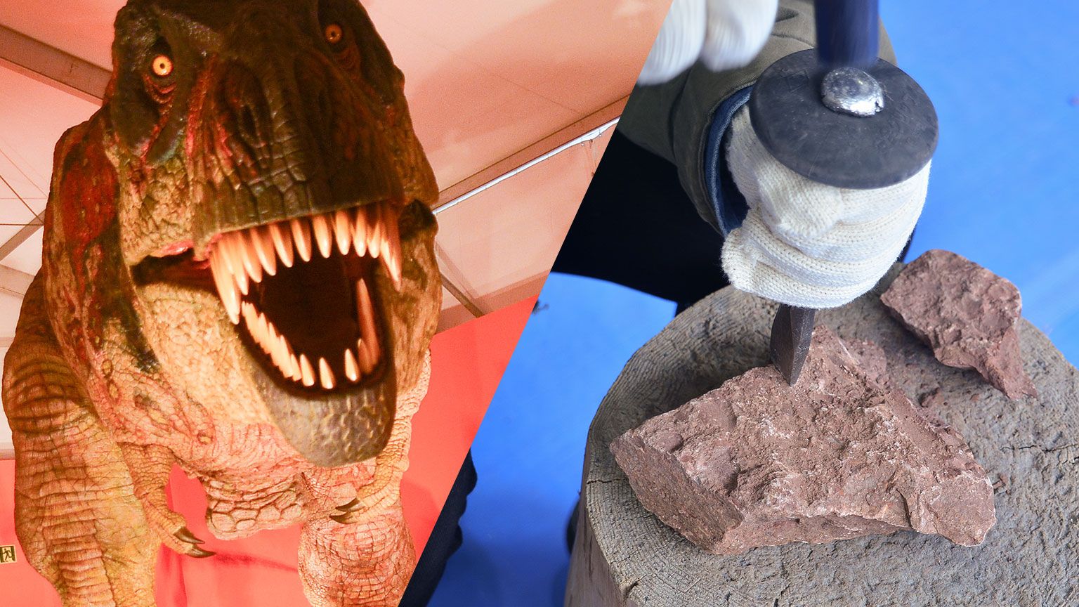 まだ間に合う！GWはお台場で恐竜の化石発掘体験！“ホンモノ”の恐竜の 