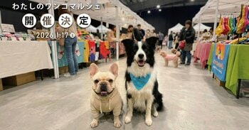 愛犬に合うグッズを選べる体験型マルシェ「わたしのワンコマルシェ」｜WHATAWONで1月17日（土）開催【大阪・岸和田／入場無料】