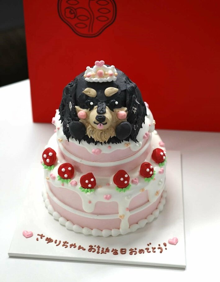 13歳です」松村沙友理 誕生日をユーモアたっぷりに報告！愛犬がのった