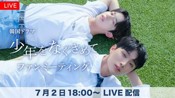 韓国BL 不可抗力な恋愛事情 キャンバスフレーム 韓国 コミック グッズ『不可抗力な恋愛事情 The Sセット