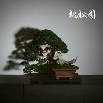 【阪急メンズ大阪】 若き盆栽作家チーム「桃松園」 POP-UP STORE開催！