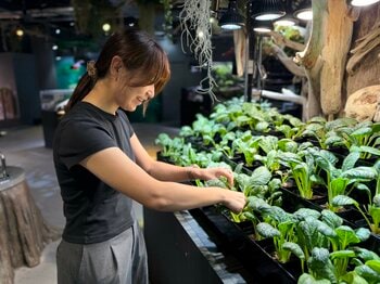 【AQUARIUM×ART atoa】20名限定！開館前のアトアで野菜を収穫！？普段は体験できないプレミアムなゾウガメ餌やり体験を開催します