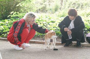 『ナンバMG5』「全開バリバリでアリガト」編の放送決定！