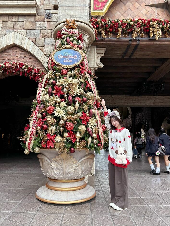 Disney - ⭐️ディズニー ダッフィー クリスマスツリー お顔厳選