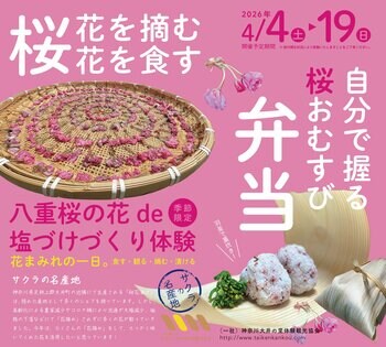 桜の新しい楽しみ方を提案！～花摘み体験と塩漬けづくりで、桜を身近に味わうチャンス