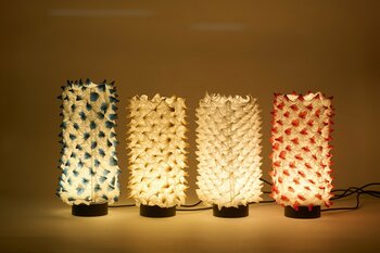 未来を紡ぐ　京の若き作り手たち　～春分の日は「伝統産業の日」～