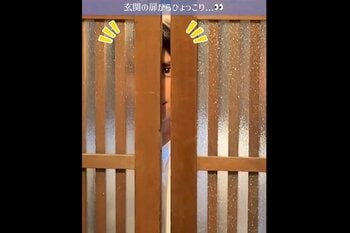 【ひょっこり瀧昌さま】本田響矢 扉の隙間で見せるおちゃめな表情にSNS「かわいすぎますぅぅう」「あぁ好き」『波うららかに、めおと日和』