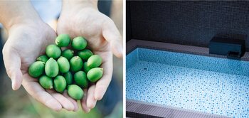 naturadistill 川内村蒸溜所のクラフトジンを使った「ジン水風呂」をオーパークおごせの水着スパにて開催。9月26日（土）には一夜限りのスペシャルペアリングディナーも