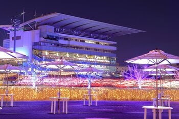 福井県坂井市が大井競馬場「東京メガイルミ2026-2027」に出店、ウララコミュニケーションズが運営業務を支援