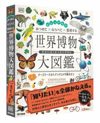 「知りたい」を全部かなえる！ページをめくるたび、知識がどんどんつながる。好奇心と探求心をくすぐる、心躍るビジュアル大図鑑『ビジュアルで あつめて ならべて 整理する 世界博物大図鑑』12月3日発売。