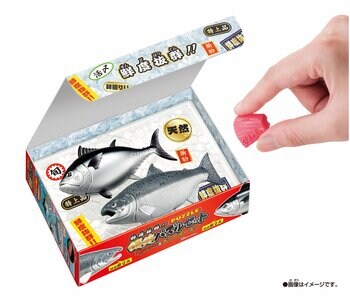 ヘイおまち！遊んで学べる！鮮度抜群の魚パズルセット 『鮮度抜群！！解体パズルセット 本マグロ＆キングサーモン 』