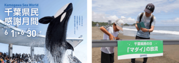 【鴨川シーワールド】千葉県民限定の入館割引や「マダイの放流体験」を実施！日頃の感謝を込めて「千葉県民感謝月間」開催