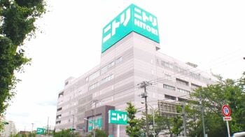 【ニトリ】夏に活躍の「ひんやりリビンググッズ」5選！かわいいぬいぐるみやラグにも冷感生地「Ｎクール」活用で快適に