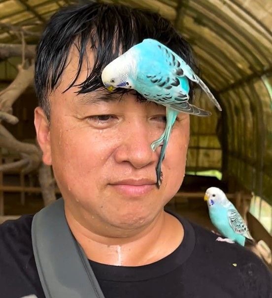 話題】ワイルドすぎて