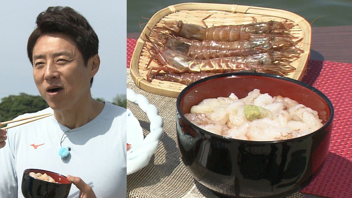 松岡修造が“幻のエビ”を丼でかき込む！絶品えび三昧に「ねっとり濃厚