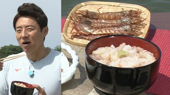 松岡修造が“幻のエビ”を丼でかき込む！絶品えび三昧に「ねっとり濃厚！」