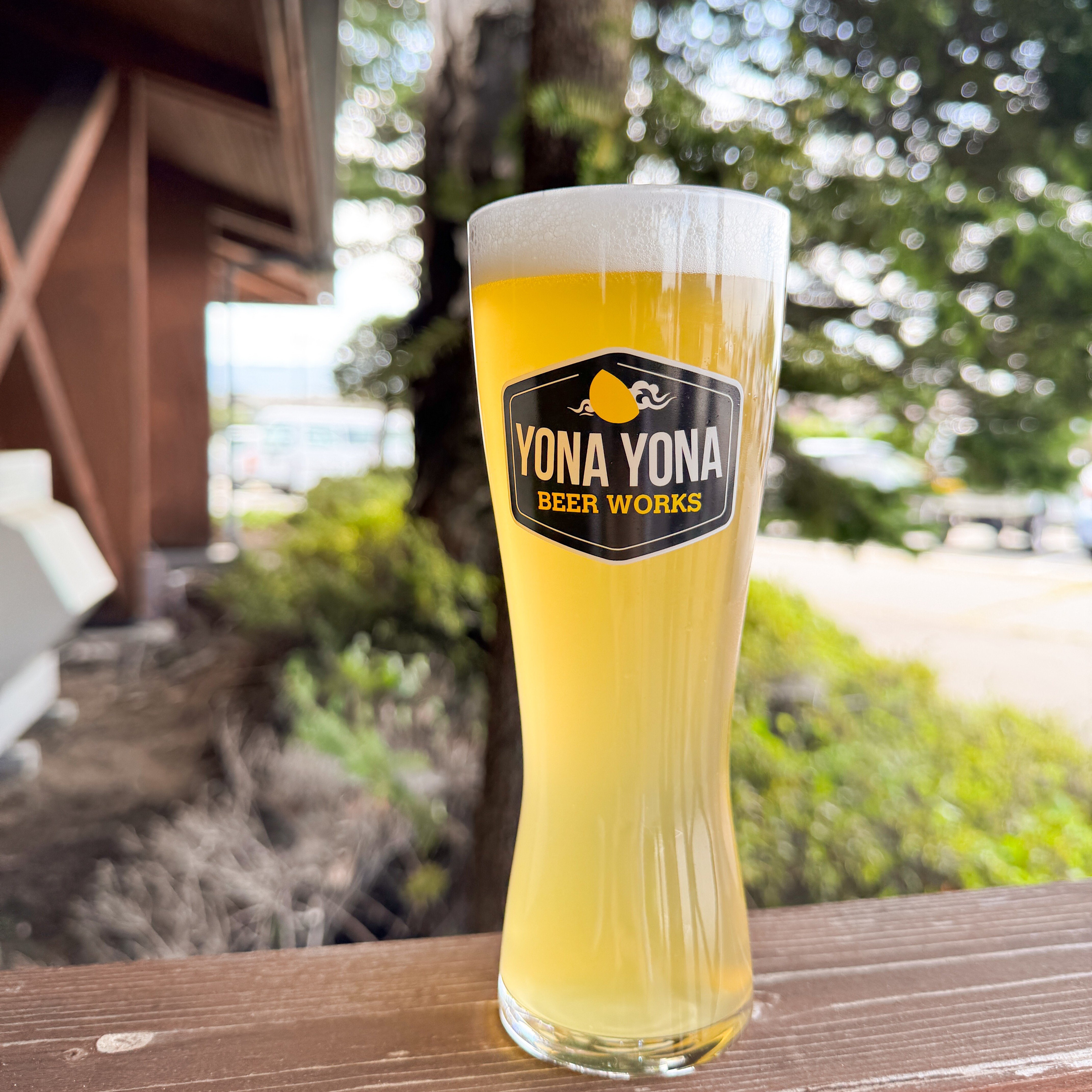 YOASOBI WANDARA ビアグラス　新品未使用　ビール YOASOBI WANDARA ビアグラス 新品未使用 ビールの通販 by yams