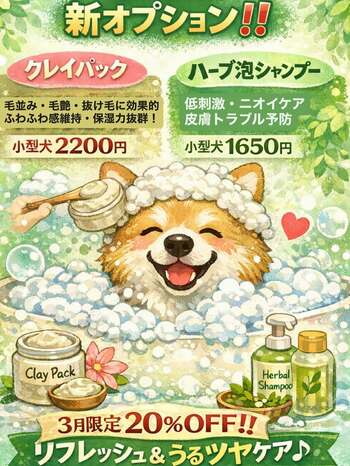 【PetsTokyo 西大井店】選べる新ケア20%OFFキャンペーンを3月より開催