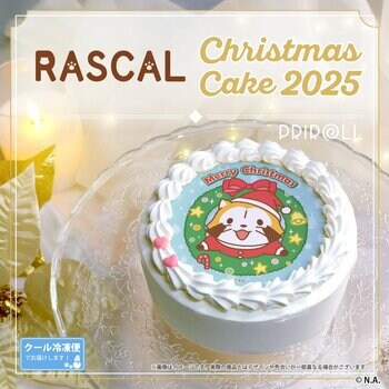 【公式ライセンス商品】『ラスカル』クリスマスケーキ2025が登場！！