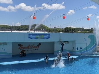ココロに刺激！ビビビ！！！ビーチランド！至近距離のふれあいで涼む、夏限定イベントを多数開催＜愛知＞