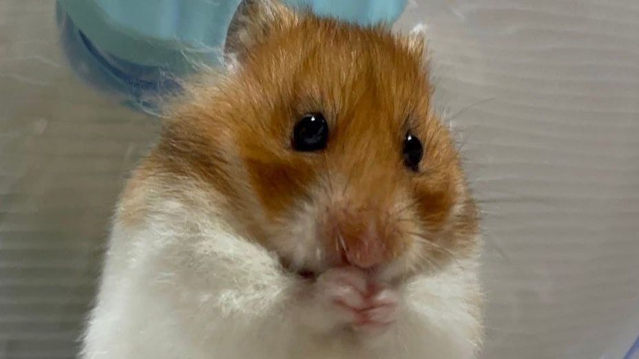 img_b41aa915f023e74d856158a3a1