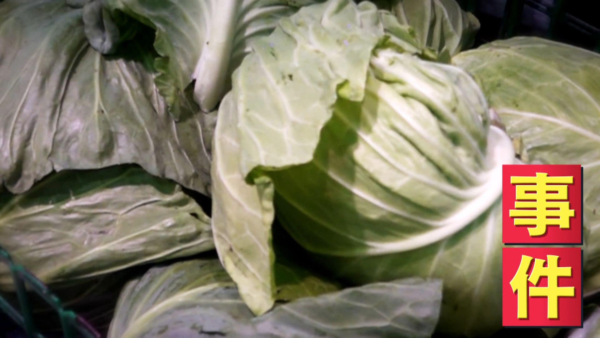 異常】アキダイ社長｢これは事件です｣ブロッコリーとキャベツが価格高騰
