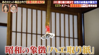 ハエ取り紙メーカーが女性の求める“かわいい”を追求して生み出した商品とは？