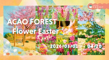 約70品種・3万球のチューリップが春を通して園内を彩る「ACAO FOREST - Flower Easter -」2026年３月1日（日）より開催！