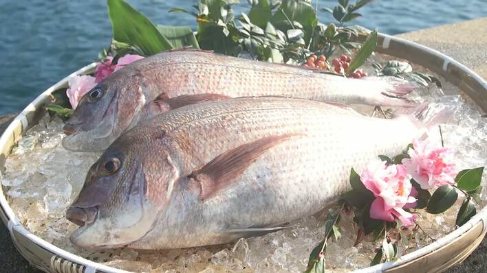 渡邉水産」社長・渡邉美保子にセブンルールが密着！長濱ねる「魚を