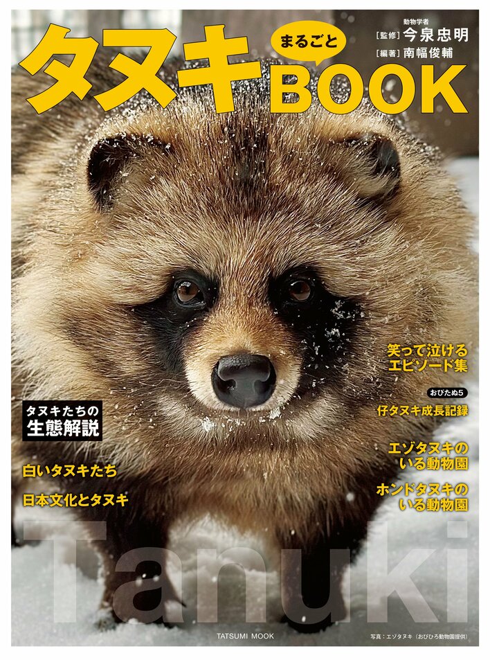 もふもふ感がたまらない 注目度上昇中のタヌキを徹底解剖！生態から