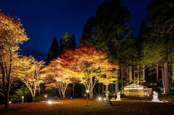 【飛騨高山・岐阜県高山市】標高1,000m奥飛騨温泉郷で紅葉ライトアップ開幕！10月1日～40日間限定の夜景体験